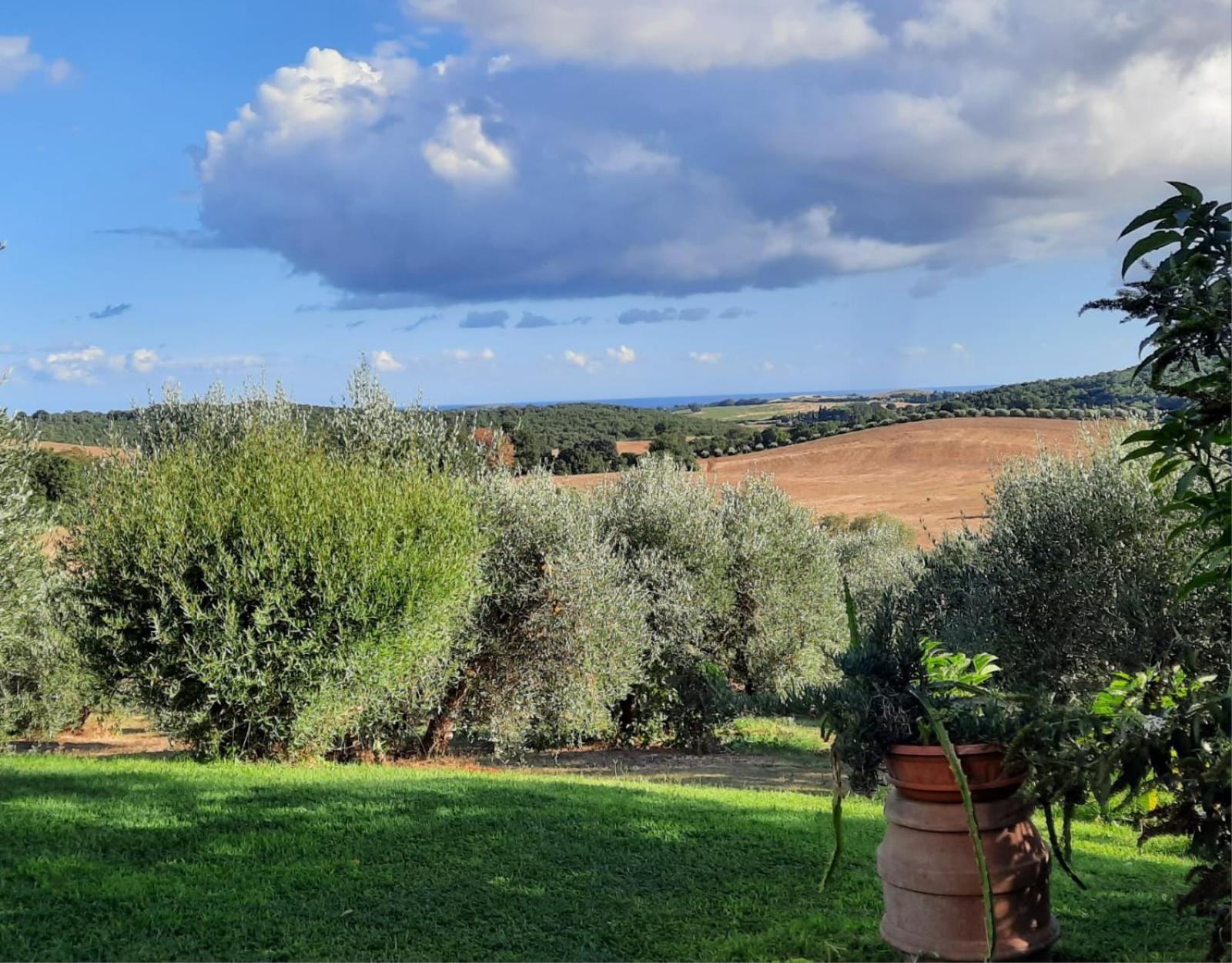 Agriturismo Le Colline Di Капальбіо Екстер'єр фото